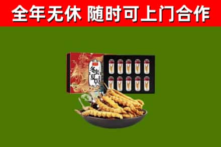 高青回收冬虫夏草价格